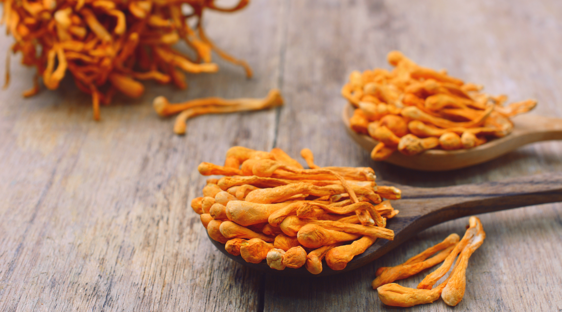 Cordyceps Mushrooms: The Wellness World's Natural Energy Secret