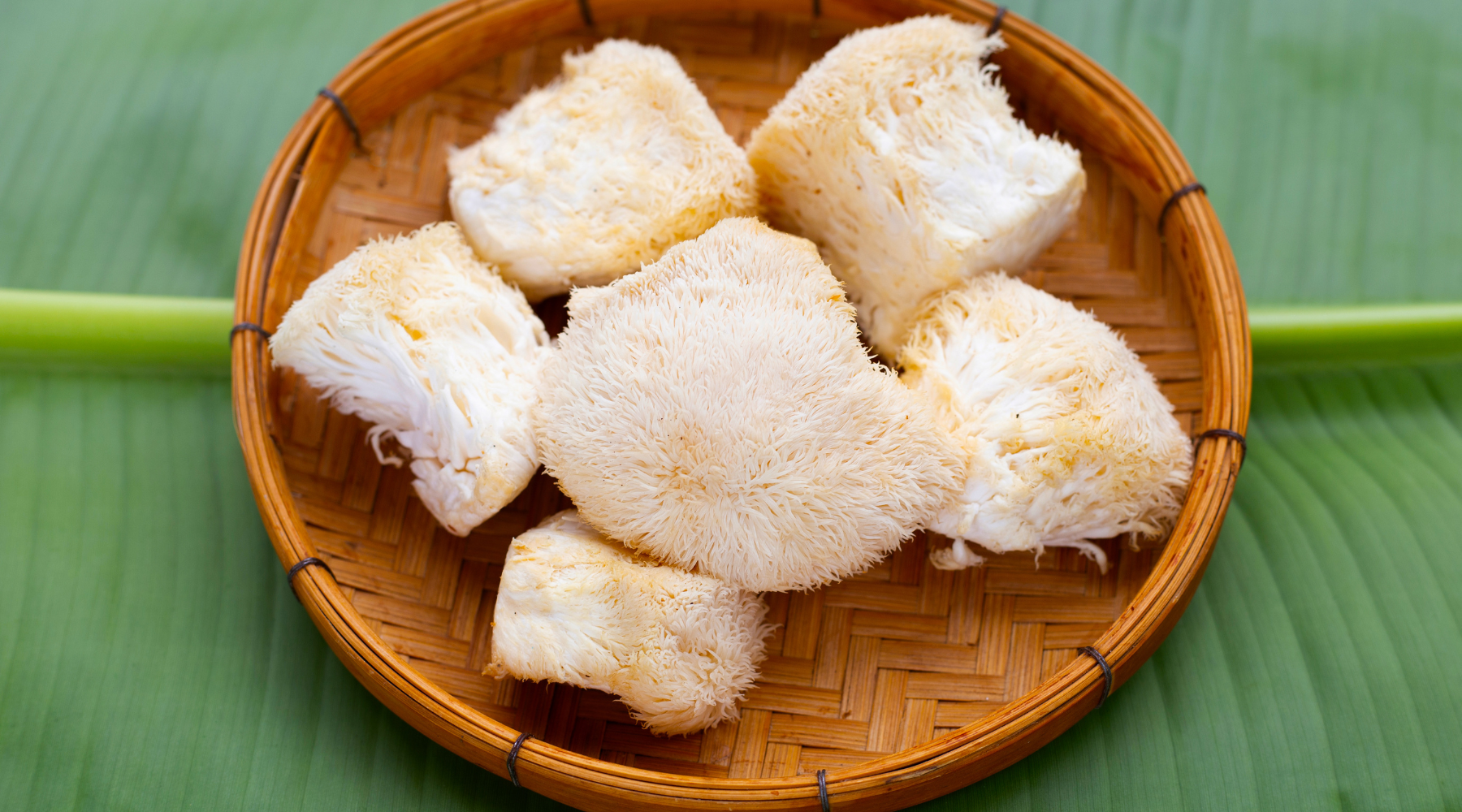 Lion's Mane: The Functional Mushroom to Boost Your Brain
