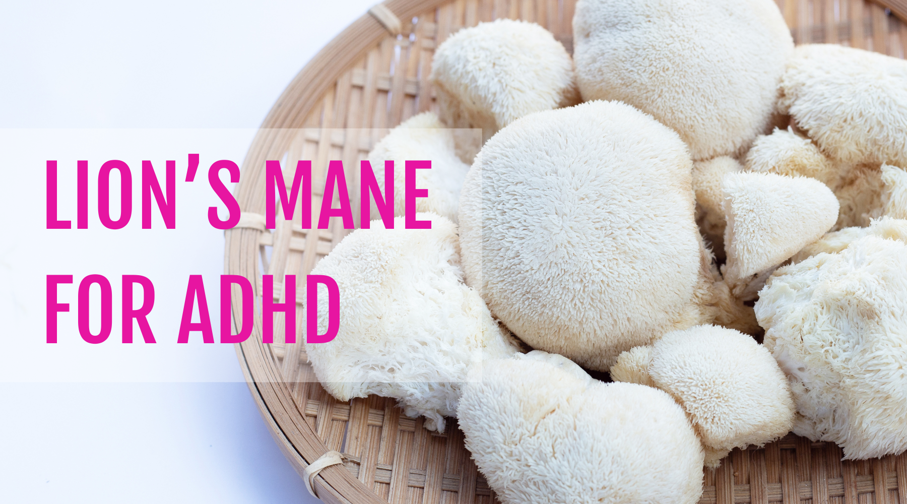 Natural ADHD Management with Lion's Mane Mushroom